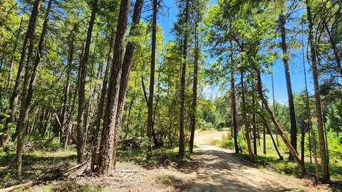 Quartz Creek Road, Merlin, OR 97532