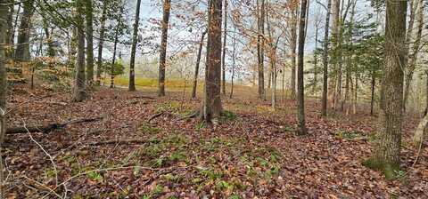 Lot 39 Maplewood Lane, Bracey, VA 23919