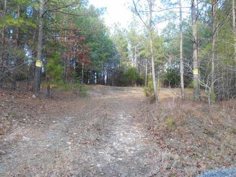 TBD Tanner Road Road, Smyrna, SC 29743