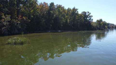 (Lot 43) Beardsley Drive, Bainbridge, GA 39819