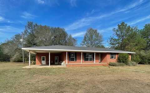 50 N Patten Rd., Sandy Hook, MS 39478