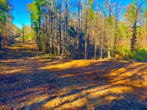 1000 Cline Rd, Wesson, MS 39191