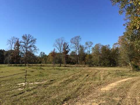 00 HWY 24/WHITES SCHOOL RD, Centreville, MS 39631