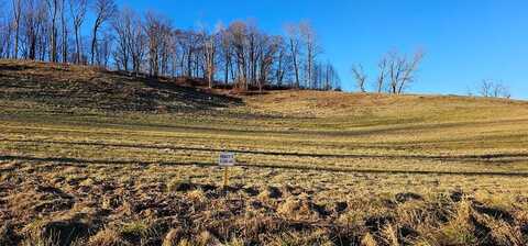 Tbd Lot 5, Old Saltworks Road, Meadowview, VA 24361