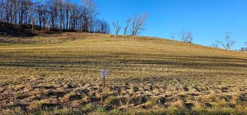 Tbd Lot 6, Old Saltworks Road, Meadowview, VA 24361