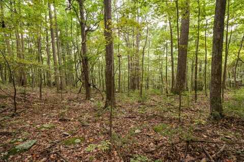 Lot 4 Hidden Valley Lane, Independence, VA 24348