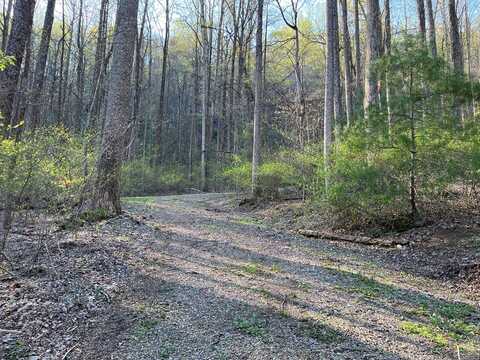 Tbd North Ledge Trail, Fancy Gap, VA 24328