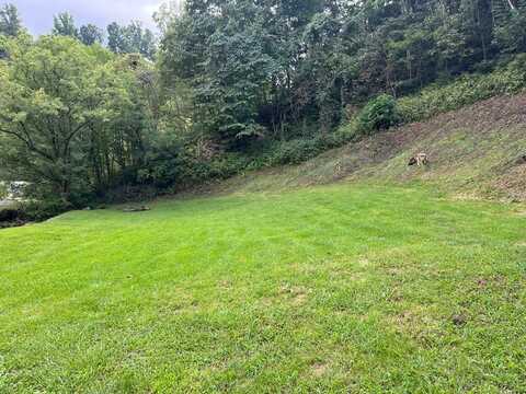 Tbd Tunnel Road, Honaker, VA 24260