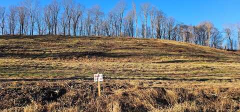 Tbd Lot 3 Old Saltworks Road, Meadowview, VA 24361