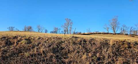 Tbd Lot 11, Old Saltworks Road, Meadowview, VA 24361