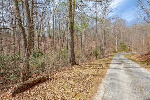 Lot 9 N Sunset Lane, Bland, VA 24315