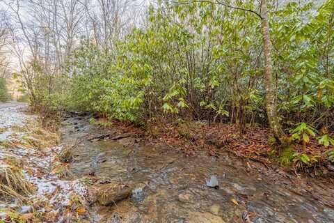 Lot 11 Wyrick Trl., Bland, VA 24315