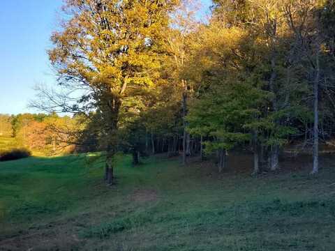 Tbd CRESTVIEW MOUNTAIN DR LOT 47, Sparta, NC 28675