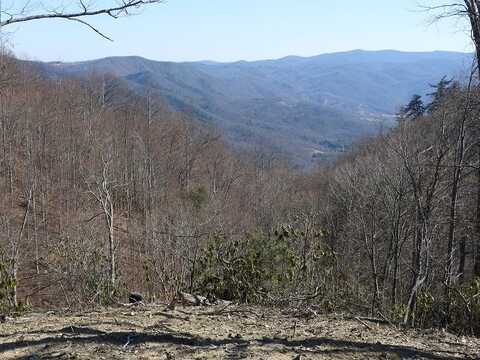 Lot # 23 Fishers Peak View, Ennice, VA 28623