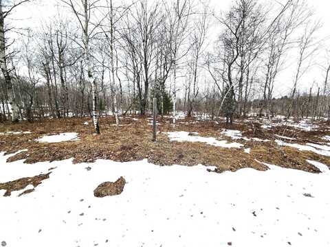 LOT 489 Manistee Heights No 1, Mancelona, MI 49659