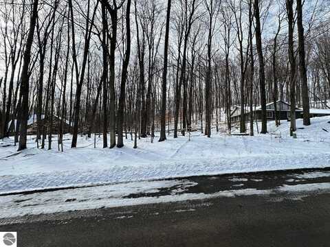 Lot 51 Val Disere Drive, Bellaire, MI 49615