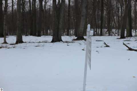 lot 12 Crystal View Commons, Beulah, MI 49617