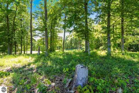 004 Heather Ridge Trail, Beulah, MI 49617