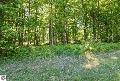 003 Heather Ridge Trail, Beulah, MI 49617