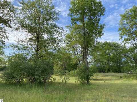 25 Deer Track Trail, Thompsonville, MI 49683