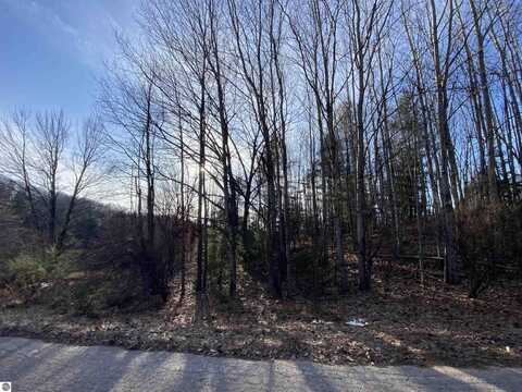 lot 30 Scenic Hills Drive, Williamsburg, MI 49690