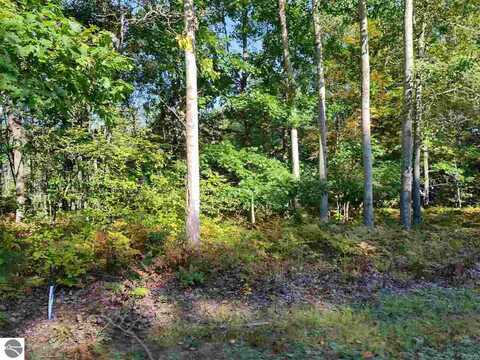 5833 Huron Woods Drive, Tawas City, MI 48763