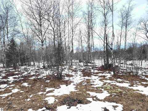 LOT 491 Manistee Heights Drive, Mancelona, MI 49659