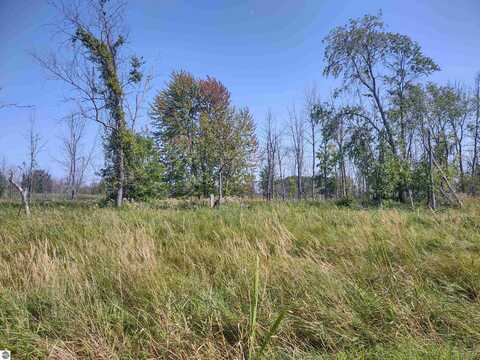 N/A Swenson Road, Au Gres, MI 48703