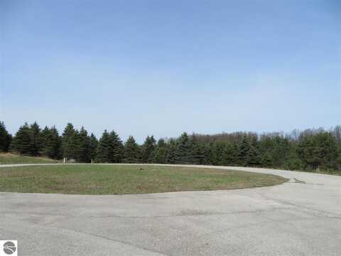 10963 Spruce Hollow Trace, Fife Lake, MI 49633