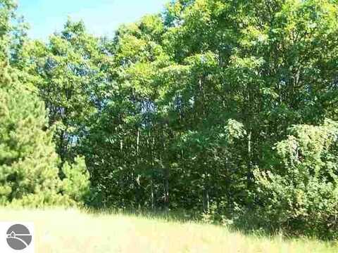 Lot 9 Torch Hills Lane, Rapid City, MI 49676