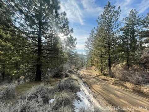 0 Matterhorn Drive, Tehachapi, CA 93561