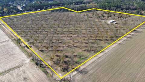 0000 Sanford Road (47.83 Acres), Thomasville, GA 31757