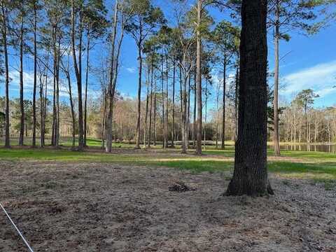 Lot 29 Block C Riverwind Trail, Meigs, GA 31765