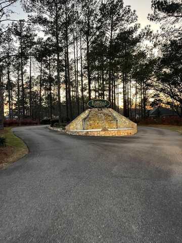 000 Lot 15 & 16 Block C Riverwind Trail, Meigs, GA 31765