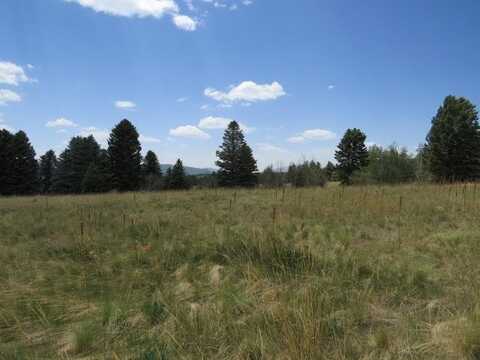 TBD El Camino Real Lot 214, Angel Fire, NM 87710