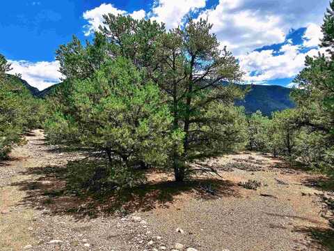 Tr A2 Alana Rd, Questa, NM 87556