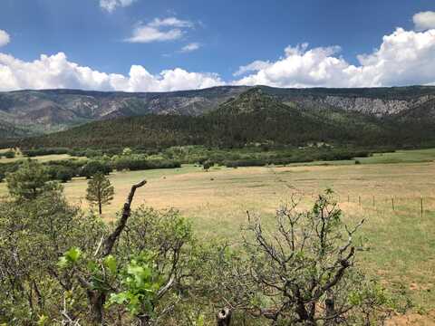 CR A034 Williams Canyon 62 Acres, Guadalupita, NM 87722