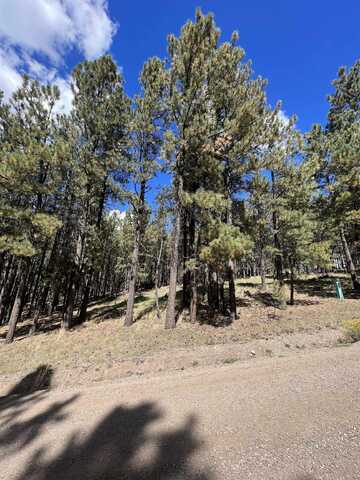 Lot 25 Valley Road, Angel Fire, NM 87710