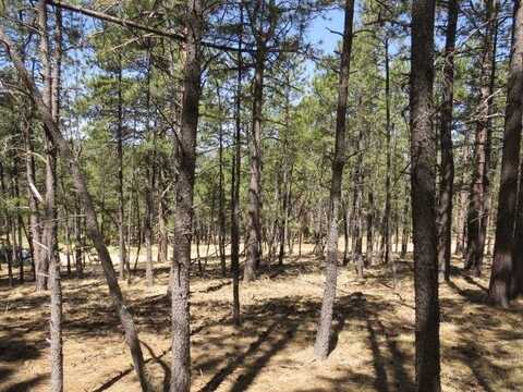 TBD Alta Place Lot 114, Angel Fire, NM 87710