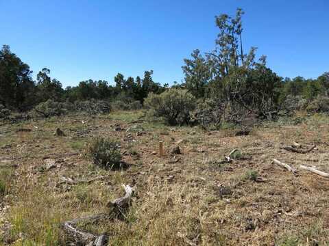 43 Servilleta Lot 43, Tres Piedras, NM 87577