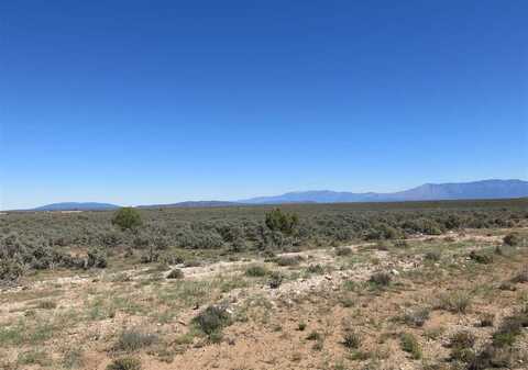 LOT 2 SERVILLETA SUBD, TRES PIEDRAS, NM 87577