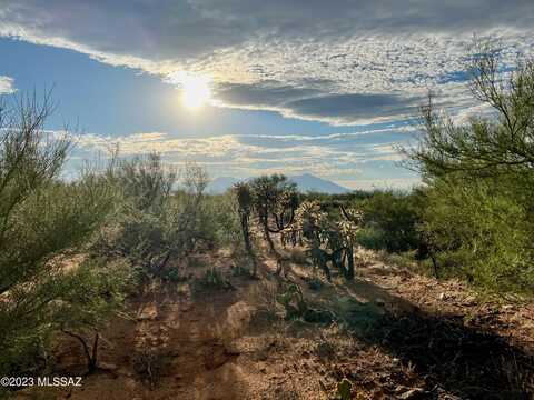 15966 W Phillips Road, Tucson, AZ 85736