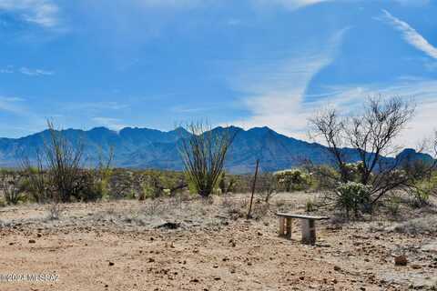 27088 S Trogon Ridge Place, Amado, AZ 85645