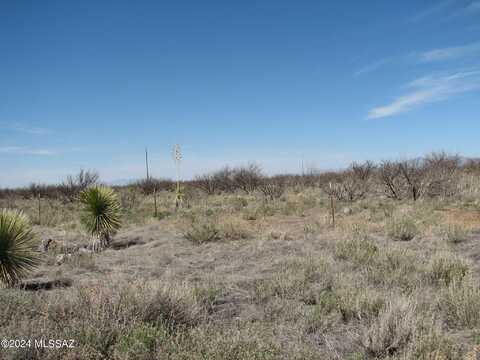 20 Ac Bumble Bee Lane, Pearce, AZ 85625