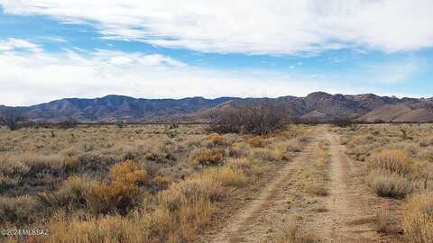 2 Lots W Towner Street, Pearce, AZ 85625