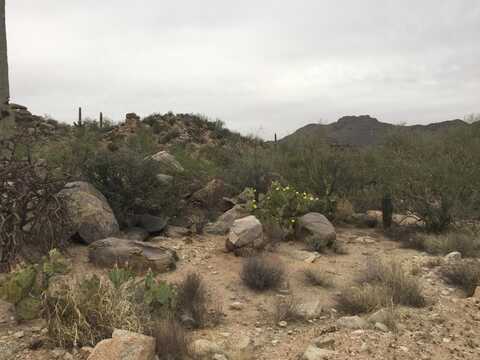 2760 Cougar Canyon Trail, Tucson, AZ 85755