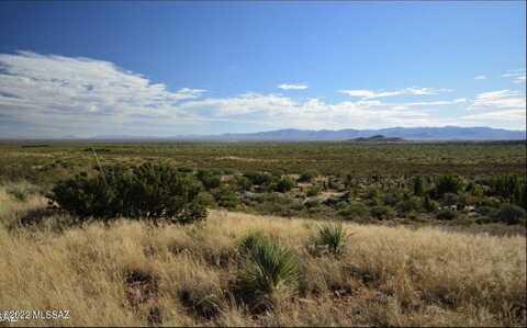 TBA N High Lonesome Ranches Road, Mc Neal, AZ 85617