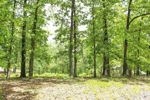 0 Forest Lake Drive, Texarkana, TX 75503