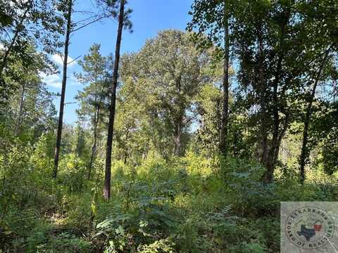 tbd CR 4668, Atlanta, TX 75551