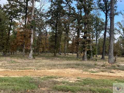 3601 Southern Magnolia Lane, Texarkana, AR 71854